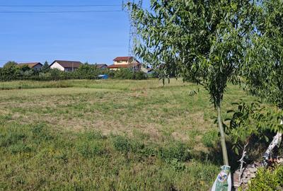 5000 mp teren parcelabil la strada asfaltata, APROAPE DE KAUFLAND. - 5