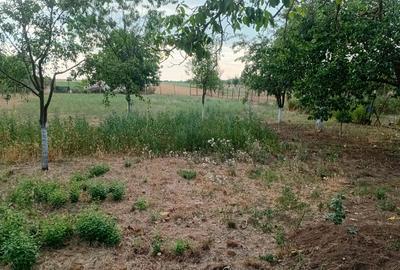 Vanzare Casa in localitatea Bodrogu Nou - 5