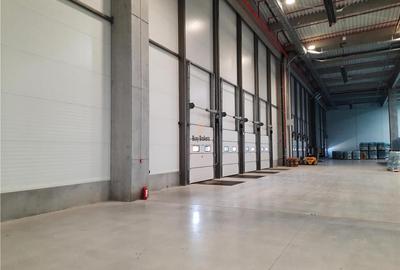 Spatiu Industrial - 5000 mp - Logistica - Productie - Depozitare - Distributie - 4