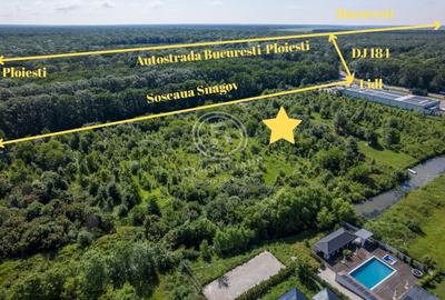 Teren 5.515 mp lângă Lidl Snagov – Ieșire la Lacul Snagov - 2