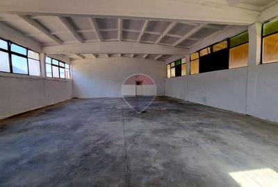 Spațiu industrial, de 210 mp, în Tăuții de Sus