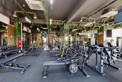 Cladire Comerciala | Investitie | Pantelimon | Bd. Biruintei | Randament 7% - 8