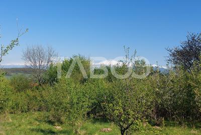 Teren 3445 mp intravilan front 26 m utilitati in zona in Cisnadie - 5