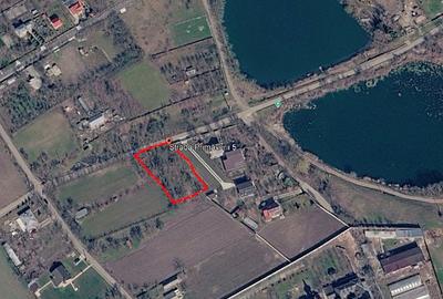 Teren Construcții intravilan de 1008 mp, în Chiroiu-Satu Nou