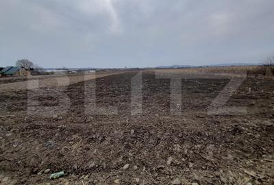 Teren Construcții extravilan de 5000 mp, în Est