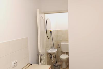 Spatiu comercial de inchiriat Motilor - 21