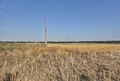Teren intravilan cu vedere spre pădurea Scrovistea si doua deschideri - 3