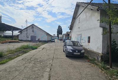 Teren pentru dezvoltare comerciala in Oradea 57000 mp, zona mixta intravilan - 8