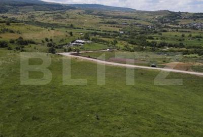 Teren Construcții intravilan de 1000 mp, în Sopor