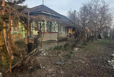 Casa batraneasca si teren 758 mp in Negoiesti. - 11