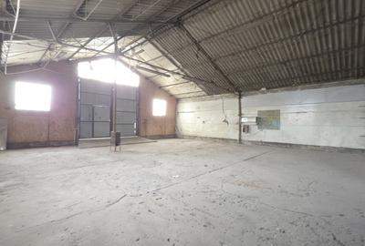 Hală industrială de 221 mp utili  in Cadăș - 7