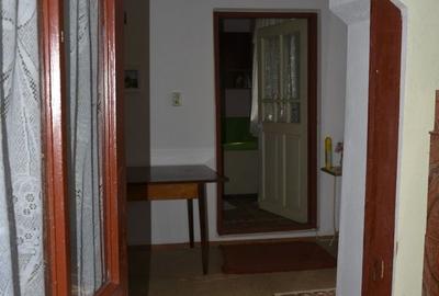 CASĂ TRADIȚIONALĂ CU GRĂDINĂ GENEROASĂ ȘI VIE – ISACCEA, JUD. TULCEA - 8