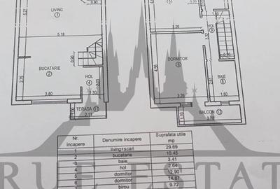 Duplex singur in curte, mobilat si utilat, la intrare in Sanpetru - 19