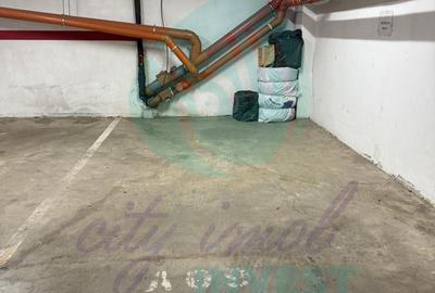 Spatiu comercial de vanzare in bloc 2006 adiacent Decebal - 11