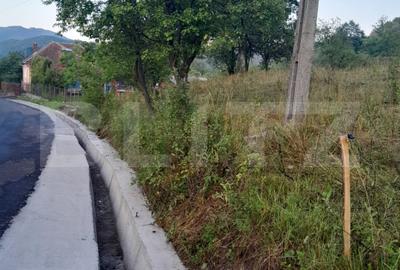 Teren agricol extravilan de 2175 mp, în Șesuri