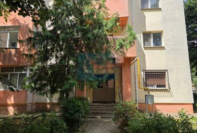 Apartament 3 camere, Hotel Traian - 2