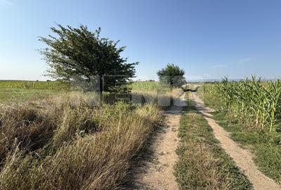 Teren agricol extravilan de 2300 mp, în Est