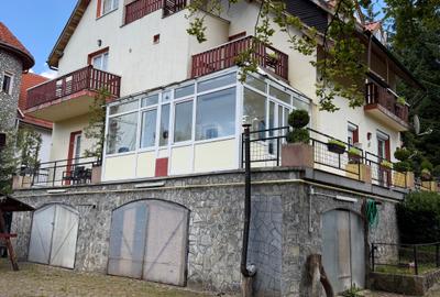 Pensiune Trei Brazi Predeal - 21
