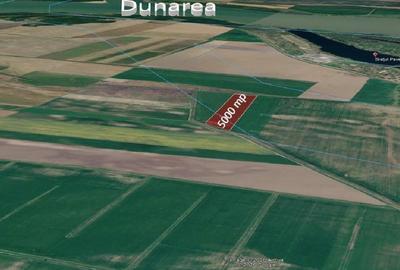 Teren agricol extravilan de 50000 mp, în Seaca