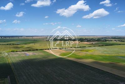 Teren Intravilan 9.918 mp Creața Dascălu, T66– Parcelabil - 10