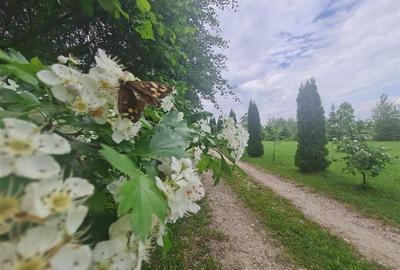 Refugiu idilic cu oglinda de apa, panorama montana, Glajerie/Rasnov, ideal mini - 19