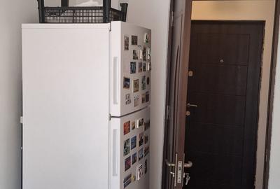 Teiul Doamnei Colentina, dec., 1985, mobilat/utilat, renovat, instalatii noi, AC - 11