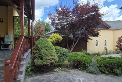 Casa singur in curte Ultracentral - str. Rodnei - 19