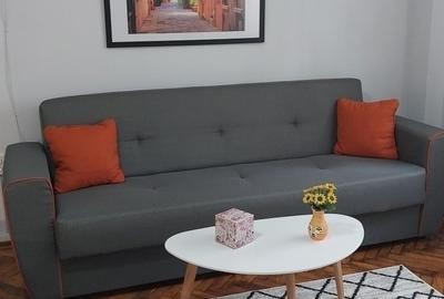 Braila zona Dorobanti de inchiriat apartament 1 camera parter renovat totul nou - 2