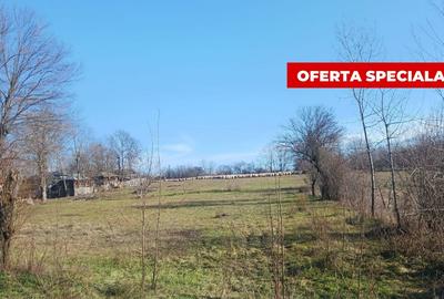 Teren Construcții intravilan de 6500 mp, în Rociu