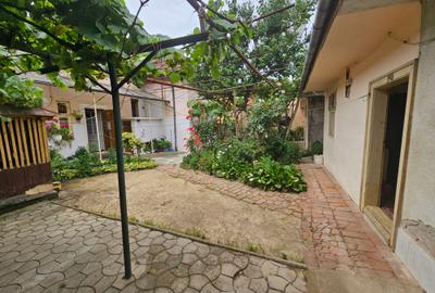Închiriere casă P+E, 3 camere, 2 băi, curte, C. Șagului - Brâncoveanu - 23