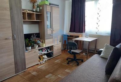 Apartament cu 2 camere semidecomandat în Horea