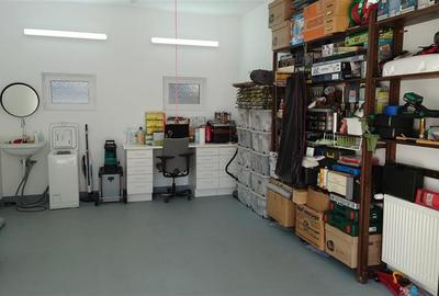 Casa tip Parter, amprenta 346 mp, teren 7241 mp, POGOANELE - 17