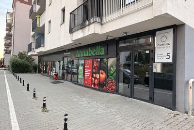 Spațiu comercial, de 375.00 mp, în Borhanci