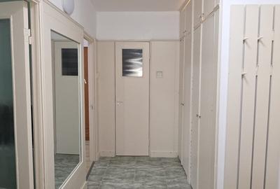 Pantelimon, Bd. Chisinau, Diham, Parcul National, semistradal - 5