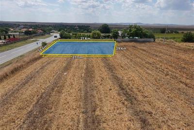Teren de vanzare in localitatea Cataloi - jud.Tulcea - 2