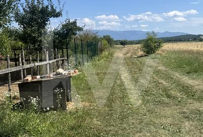 Teren agricol extravilan de 720 mp, în Cisnădie