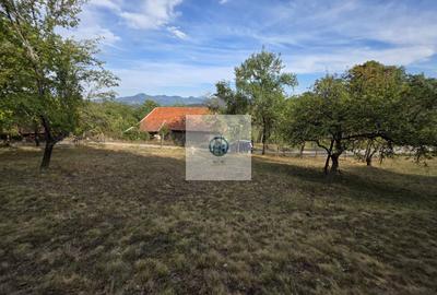 Casă cu teren si pomi fructiferi sat Vălișoara,jud HD la 28 km de Deva - 9