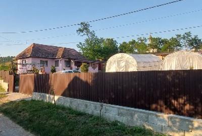 Casă individuală cu 2 camere în Vișinelu