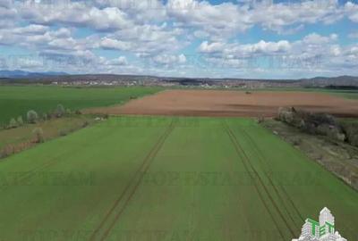 Vanzare Teren intravilan 24611 mp, Ideal retail, logistica, birouri - 1
