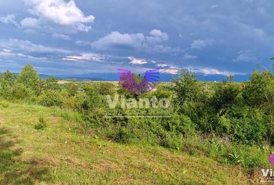Teren Intravilan 1000mp-Zona Daia - 1