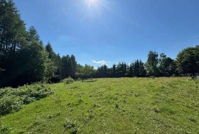 Teren Construcții intravilan de 5755 mp, în Sighetu Marmației