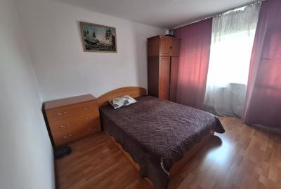 Sos Salaj adiacent Malcoci - 7