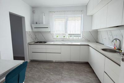 Inchiriere Vila Duplex P+1+M - 1