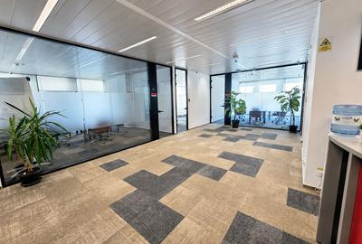 One Herastrau Office (Office 1) - 7
