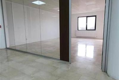 Inchiriere depozit/hala/spatiu industrial/showroom Afumati - Doraly - DN2, ILFOV - 19