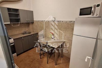 Apartament cu 1 camera , de inchiriat , Zona Lipovei , Timisoara - 3