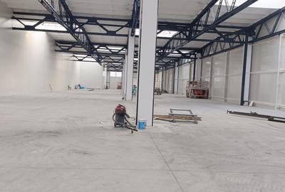 Hala industriala renovata in Brasov-Astra - 2