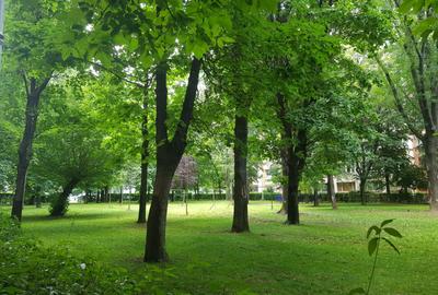 Apartament 3 camere, et 2/10, parcare, Unirii, Scoala 79, 600 euro - 19