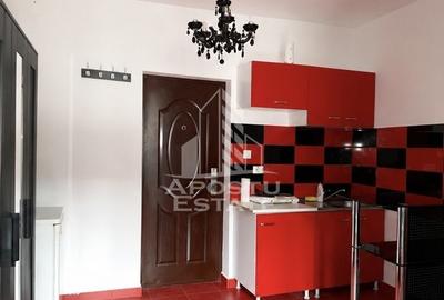 Garsoniera de inchiriat, centrala proprie,zona Brancoveanu Timisoara - 2
