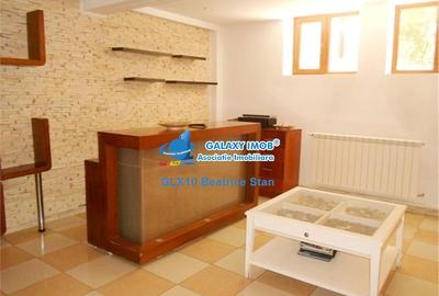 Demisol inalt elegant in vila SALON BIROU in COTROCENI   EROILOR - 8